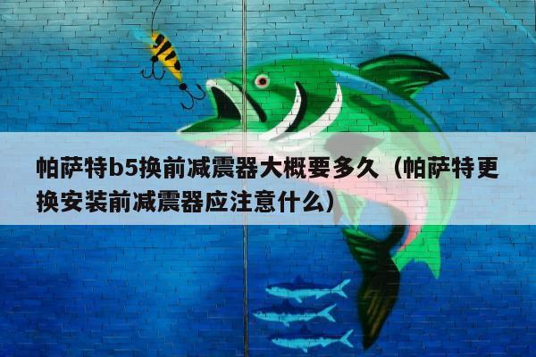 帕萨特b5换前减震器大概要多久（帕萨特更换安装前减震器应注意什么）