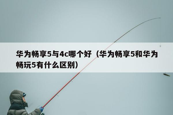 华为畅享5与4c哪个好（华为畅享5和华为畅玩5有什么区别）