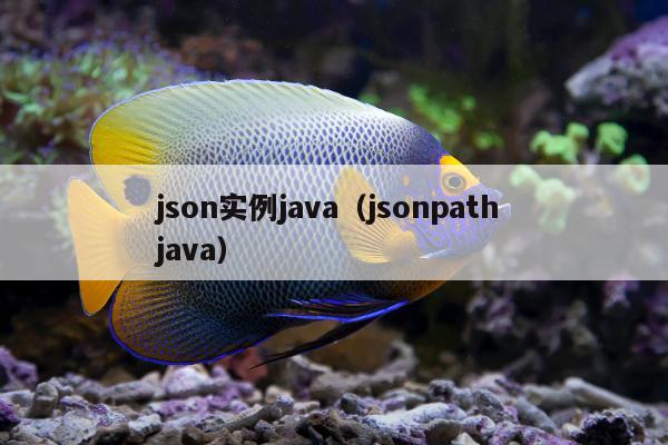 json实例java（jsonpath java）