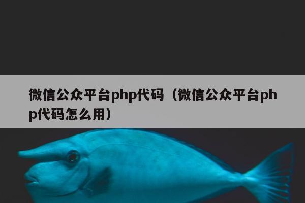 微信公众平台php代码（微信公众平台php代码怎么用）