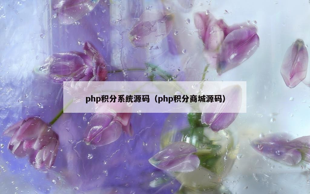 php积分系统源码（php积分商城源码）