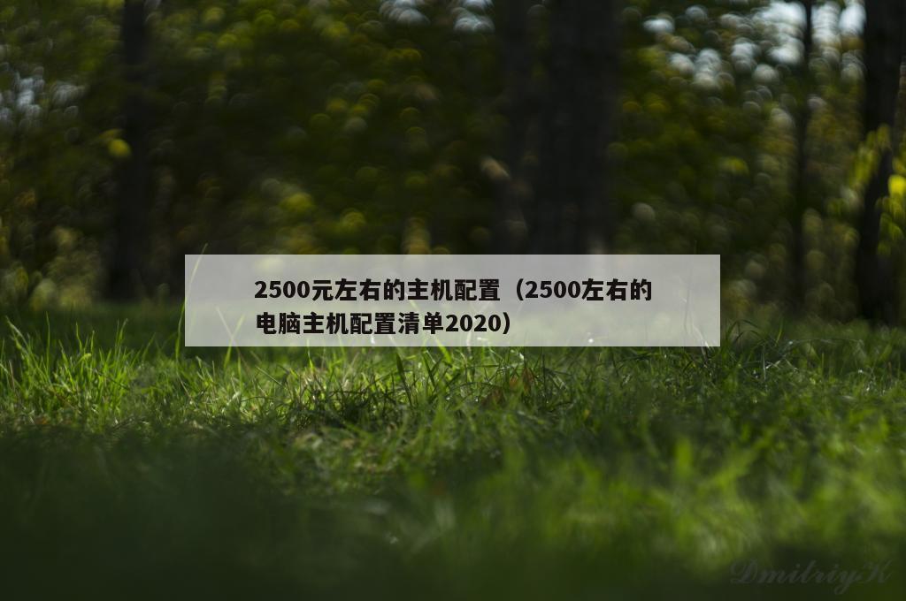 2500元左右的主机配置（2500左右的电脑主机配置清单2020）