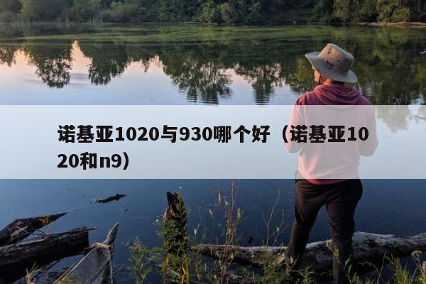 诺基亚1020与930哪个好（诺基亚1020和n9）