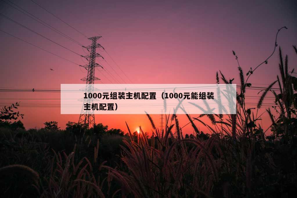 1000元组装主机配置（1000元能组装主机配置）