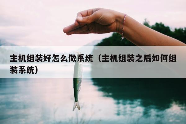 主机组装好怎么做系统（主机组装之后如何组装系统）