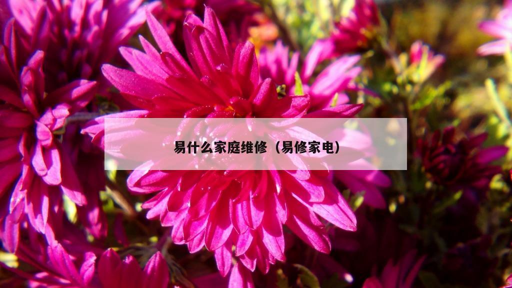 易什么家庭维修（易修家电）