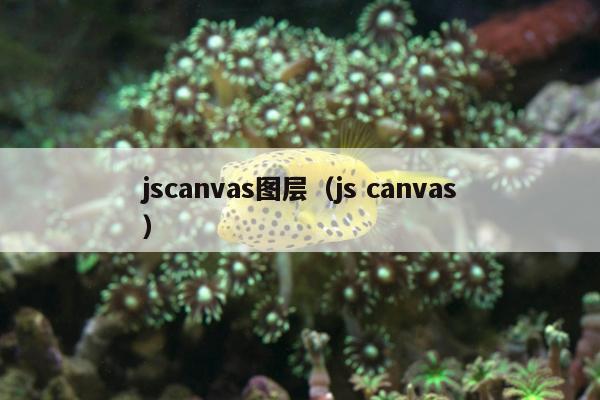 jscanvas图层（js canvas）