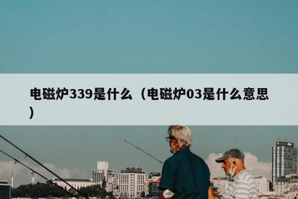 电磁炉339是什么（电磁炉03是什么意思）