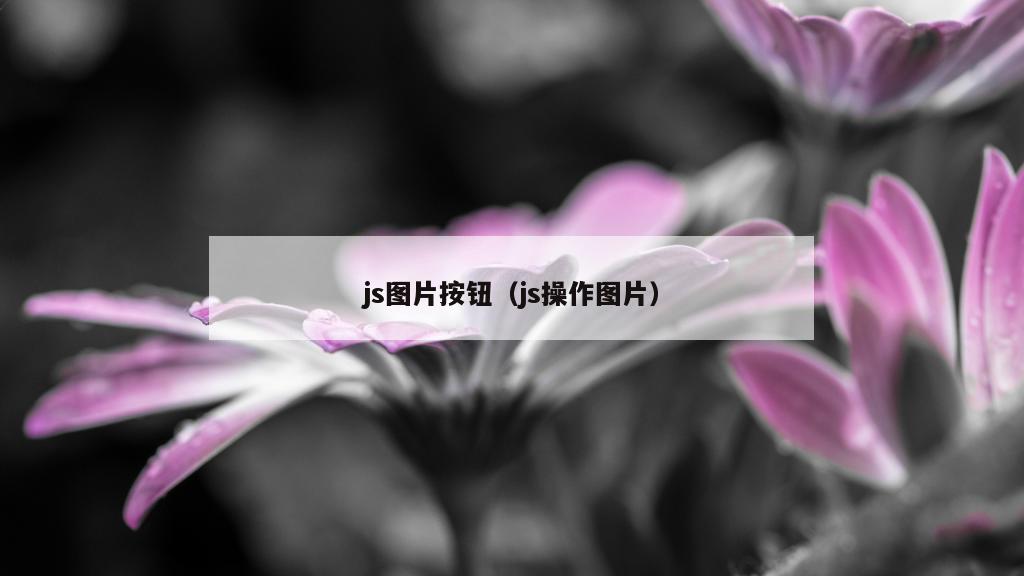 js图片按钮（js操作图片）