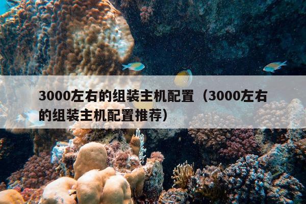 3000左右的组装主机配置（3000左右的组装主机配置推荐）