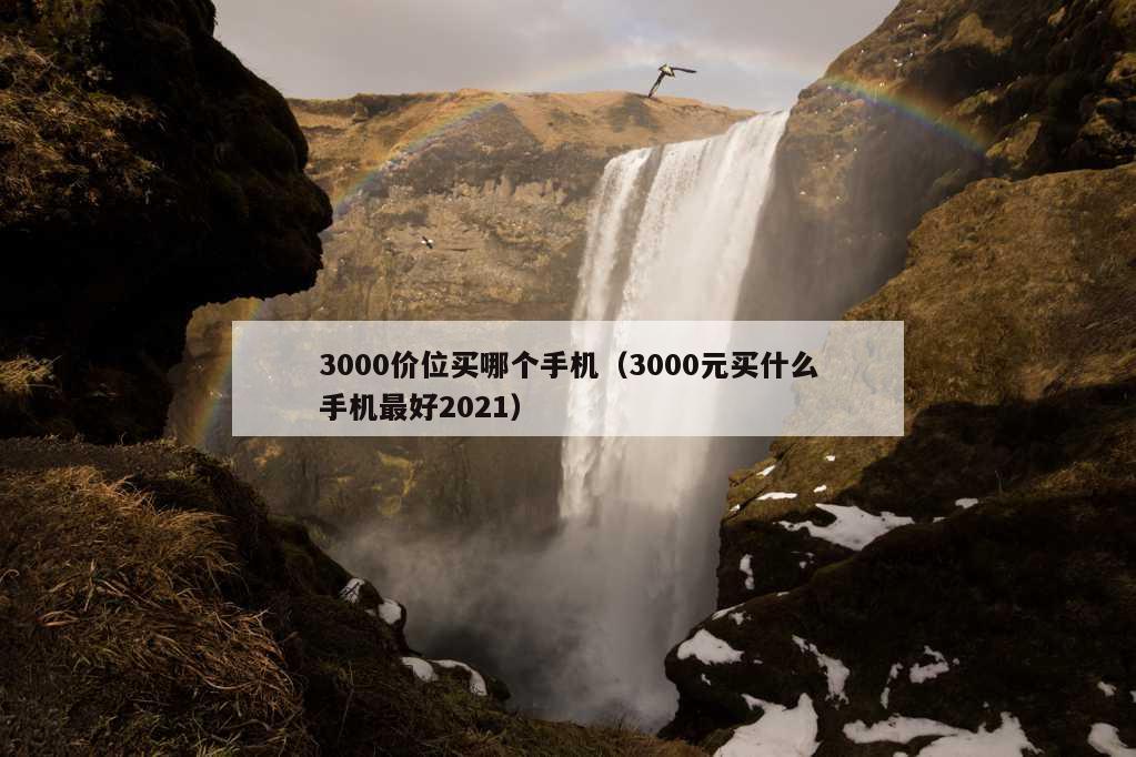 3000价位买哪个手机（3000元买什么手机最好2021）