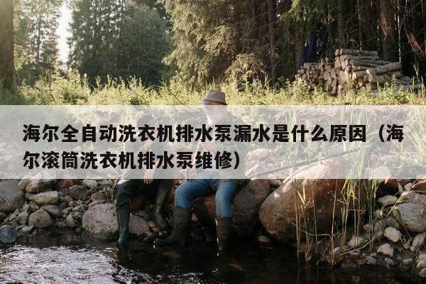 海尔全自动洗衣机排水泵漏水是什么原因（海尔滚筒洗衣机排水泵维修）