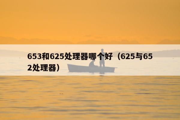 653和625处理器哪个好（625与652处理器）