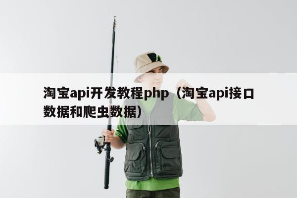 淘宝api开发教程php（淘宝api接口数据和爬虫数据）