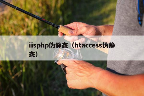 iisphp伪静态（htaccess伪静态）