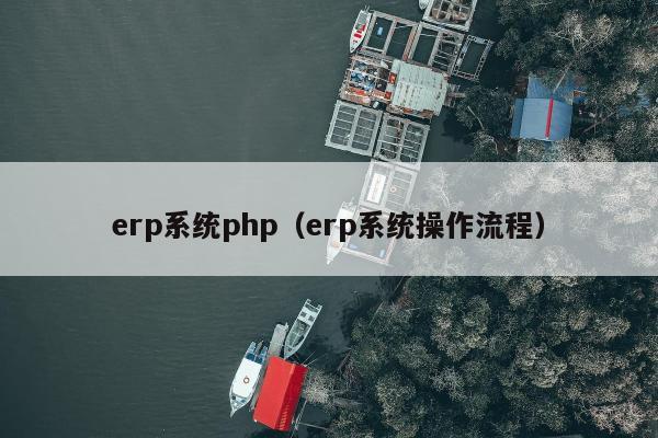 erp系统php（erp系统操作流程）