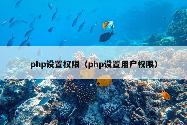 php设置权限（php设置用户权限）