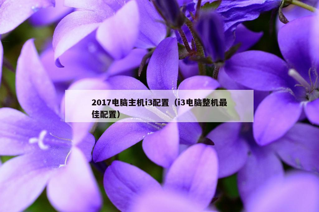 2017电脑主机i3配置（i3电脑整机最佳配置）