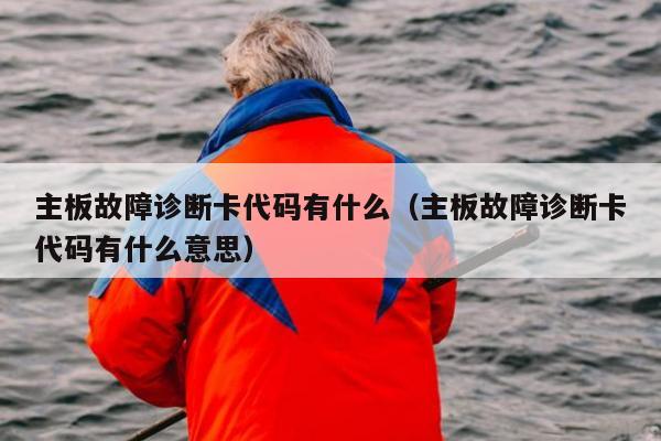 主板故障诊断卡代码有什么（主板故障诊断卡代码有什么意思）