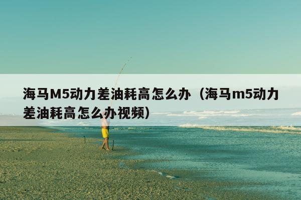 海马M5动力差油耗高怎么办（海马m5动力差油耗高怎么办视频）