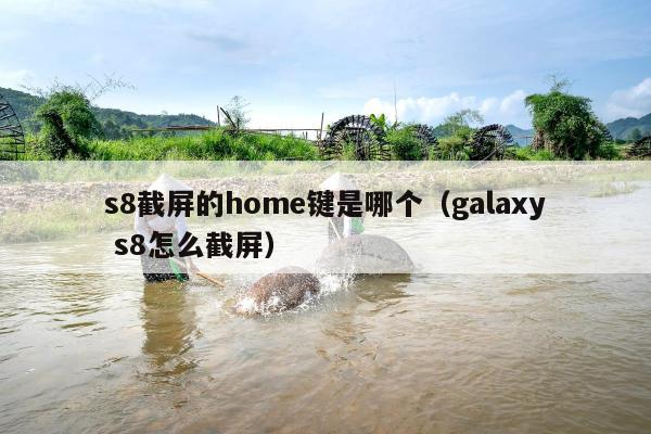 s8截屏的home键是哪个（galaxy s8怎么截屏）