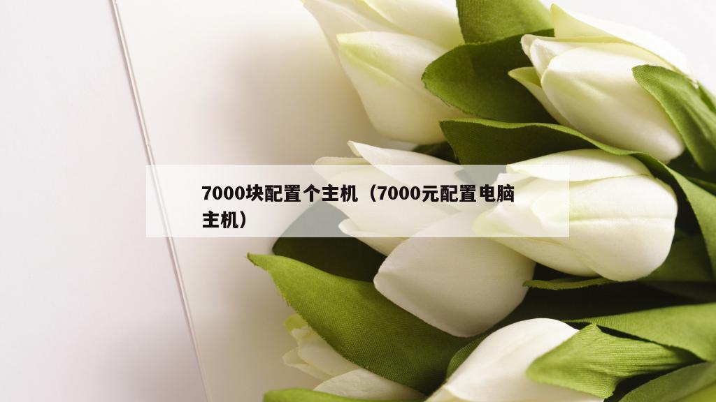 7000块配置个主机（7000元配置电脑主机）