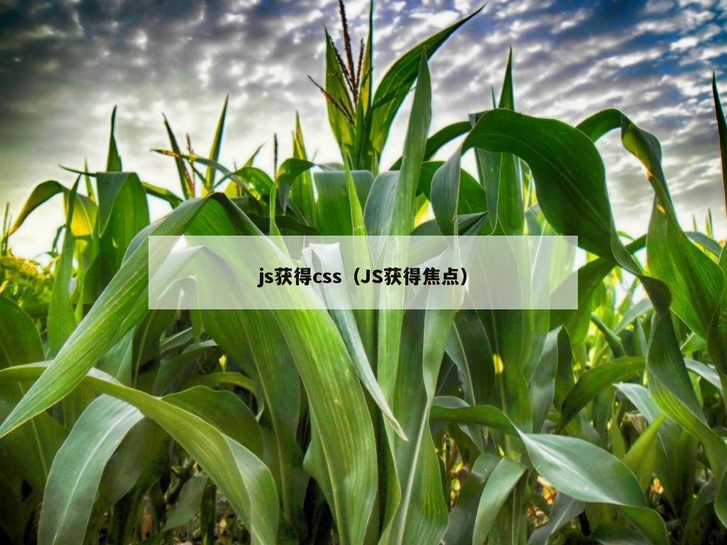 js获得css（JS获得焦点）