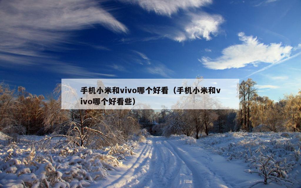 手机小米和vivo哪个好看（手机小米和vivo哪个好看些）