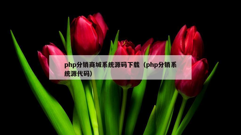 php分销商城系统源码下载（php分销系统源代码）