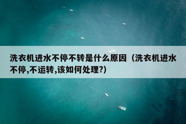 洗衣机进水不停不转是什么原因（洗衣机进水不停,不运转,该如何处理?）