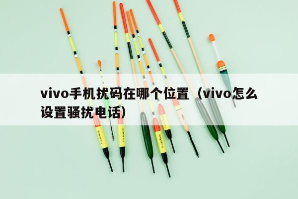 vivo手机扰码在哪个位置（vivo怎么设置骚扰电话）