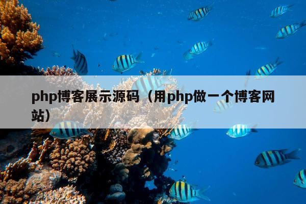 php博客展示源码（用php做一个博客网站）