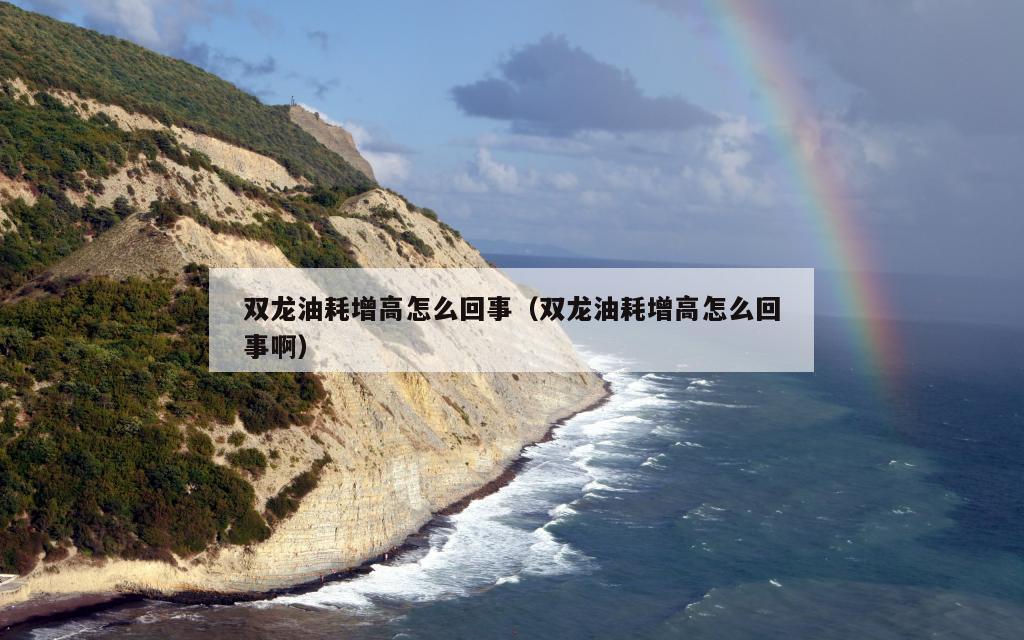 双龙油耗增高怎么回事（双龙油耗增高怎么回事啊）