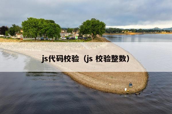 js代码校验（js 校验整数）