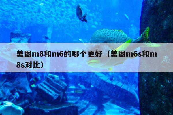 美图m8和m6的哪个更好（美图m6s和m8s对比）