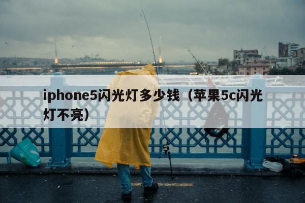 iphone5闪光灯多少钱（苹果5c闪光灯不亮）