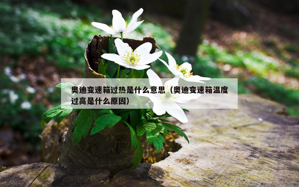 奥迪变速箱过热是什么意思（奥迪变速箱温度过高是什么原因）