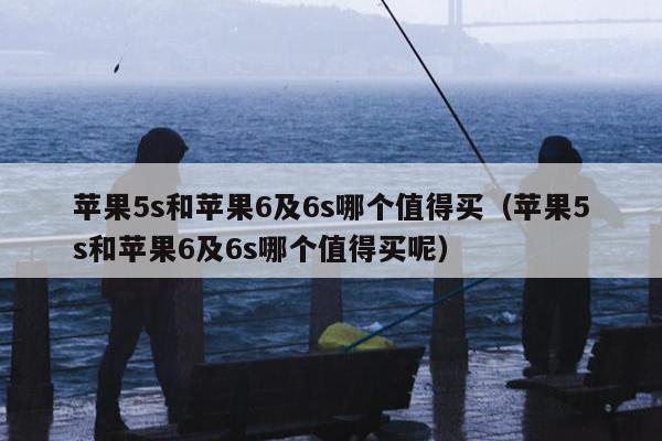 苹果5s和苹果6及6s哪个值得买（苹果5s和苹果6及6s哪个值得买呢）