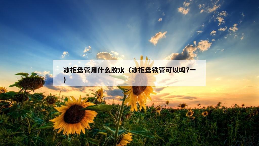 冰柜盘管用什么胶水（冰柜盘铁管可以吗?一）