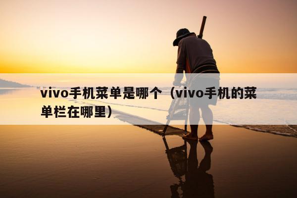 vivo手机菜单是哪个（vivo手机的菜单栏在哪里）