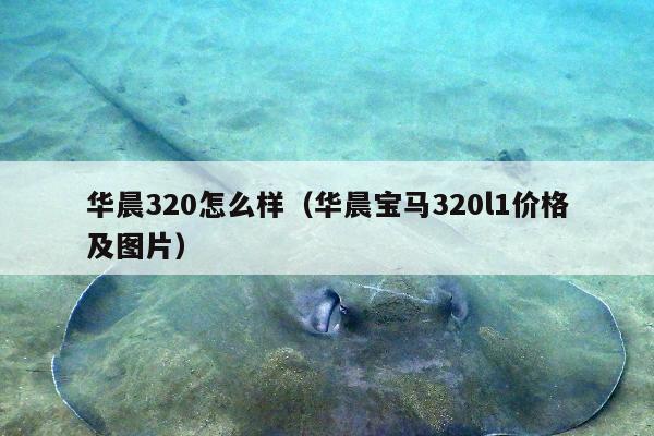 华晨320怎么样（华晨宝马320l1价格及图片）