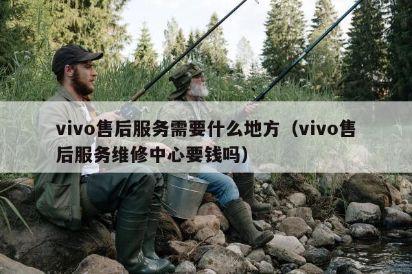 vivo售后服务需要什么地方（vivo售后服务维修中心要钱吗）