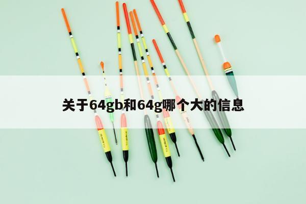 关于64gb和64g哪个大的信息