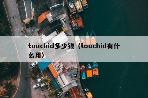 touchid多少钱（touchid有什么用）