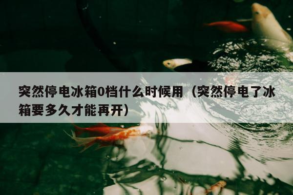 突然停电冰箱0档什么时候用（突然停电了冰箱要多久才能再开）