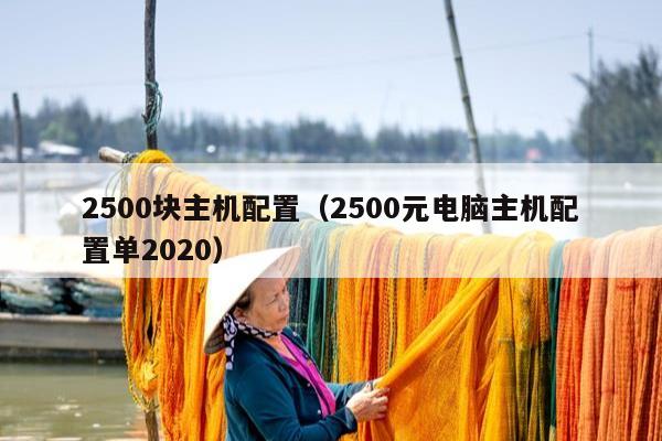 2500块主机配置（2500元电脑主机配置单2020）