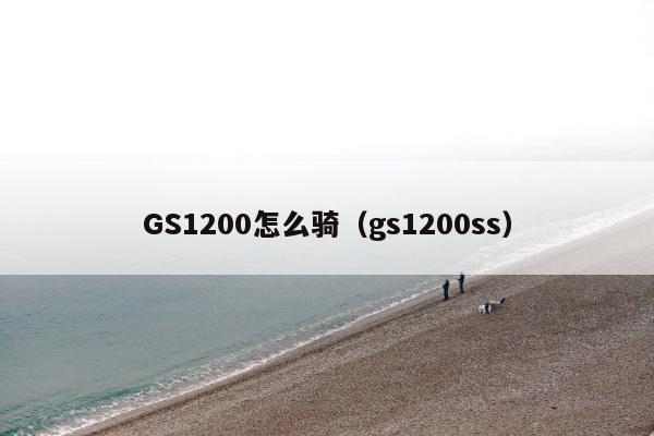 GS1200怎么骑（gs1200ss）