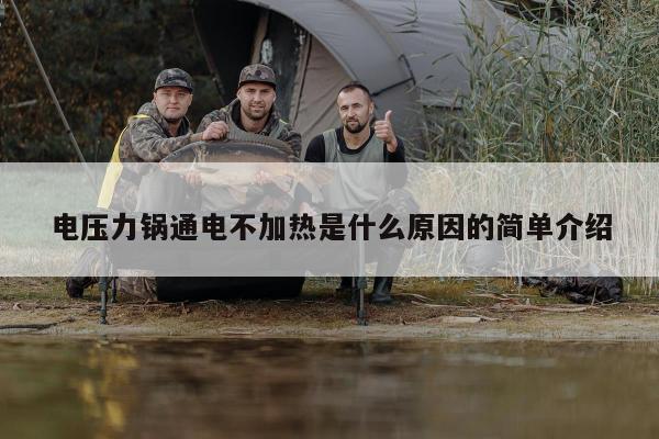 电压力锅通电不加热是什么原因的简单介绍