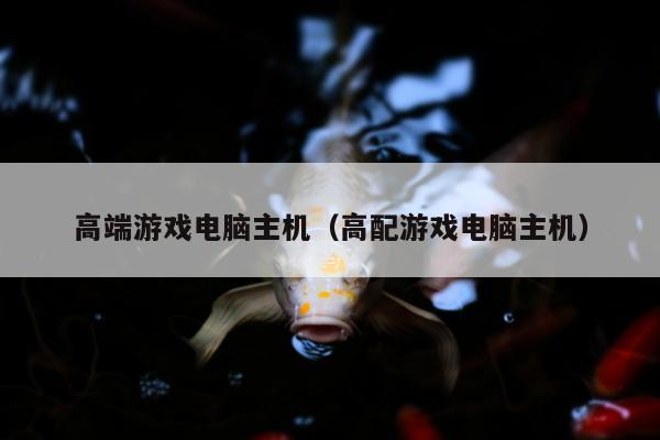 高端游戏电脑主机（高配游戏电脑主机）