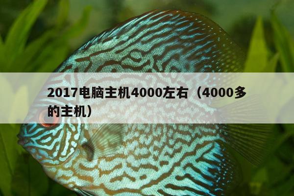 2017电脑主机4000左右（4000多的主机）